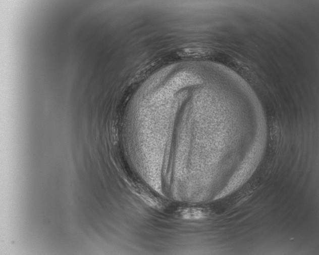 X0000080160751200612302153