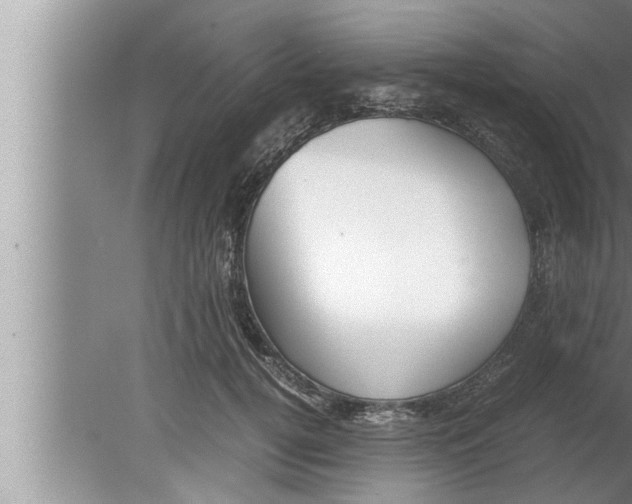 X0000080160752200612302153