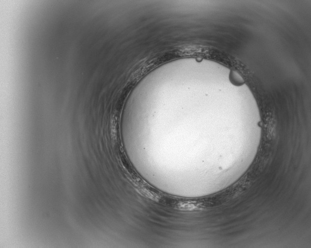 X0000080160753200612302153