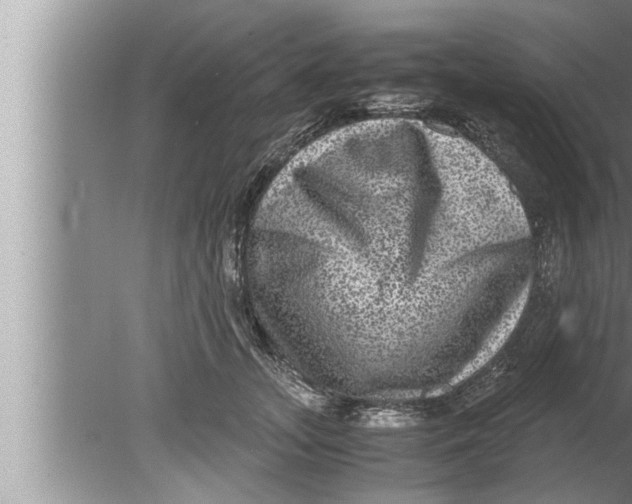 X0000080160755200612302153