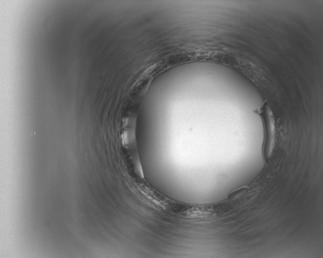 X0000080160756200612302153