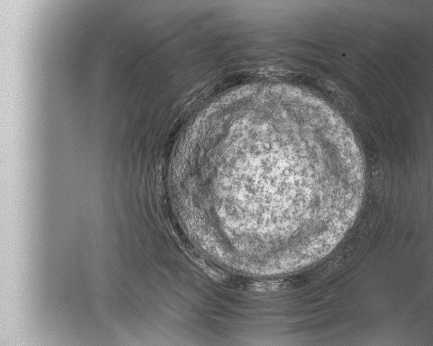 X0000080160757200612302153