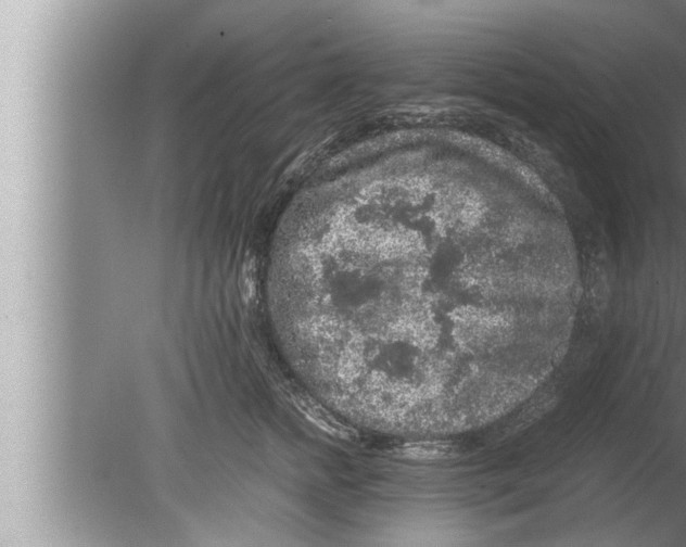 X0000080160758200612302153