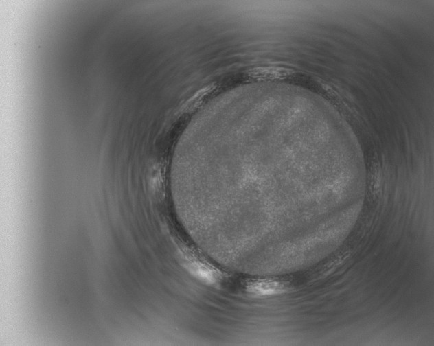 X0000080160759200612302153