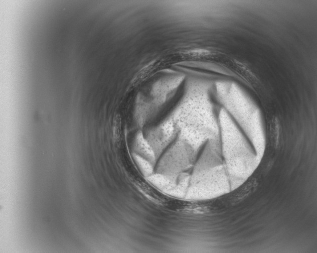 X0000080160760200612302153