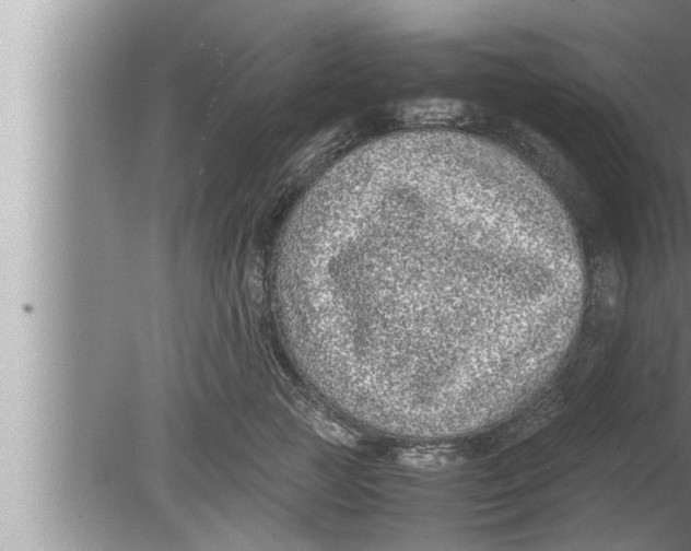 X0000080160761200612302153