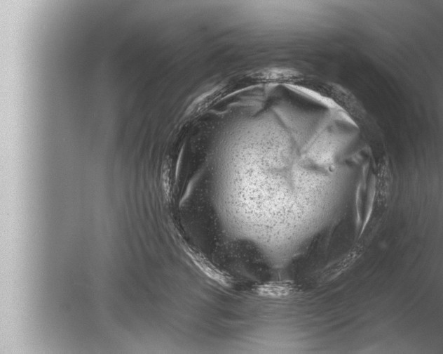 X0000080160762200612302153