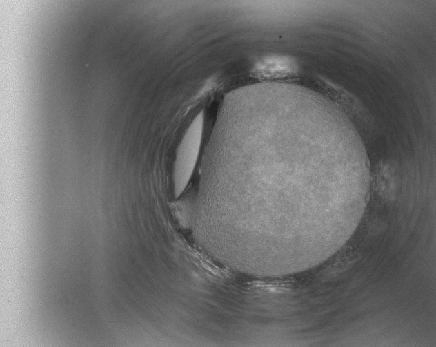 X0000080160763200612302153