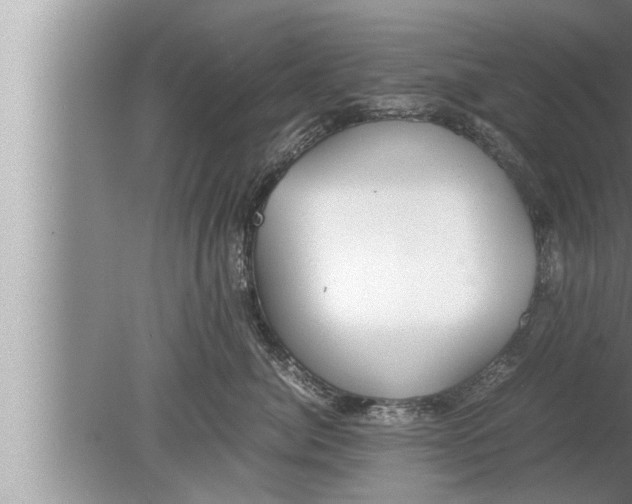 X0000080160764200612302153