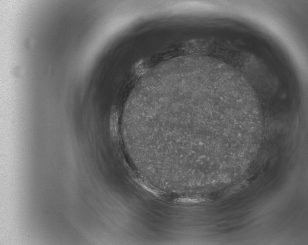 X0000080160765200612302153