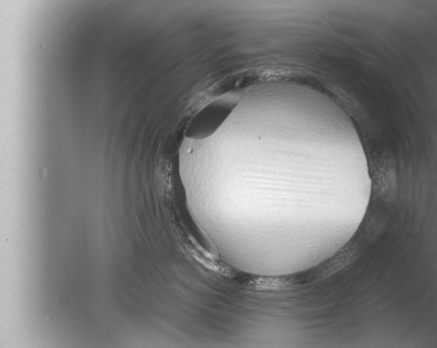 X0000080160766200612302153