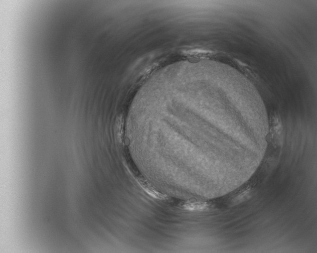 X0000080160767200612302153