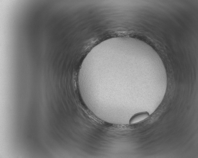 X0000080160768200612302153