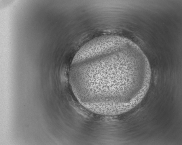 X0000080160770200612302152