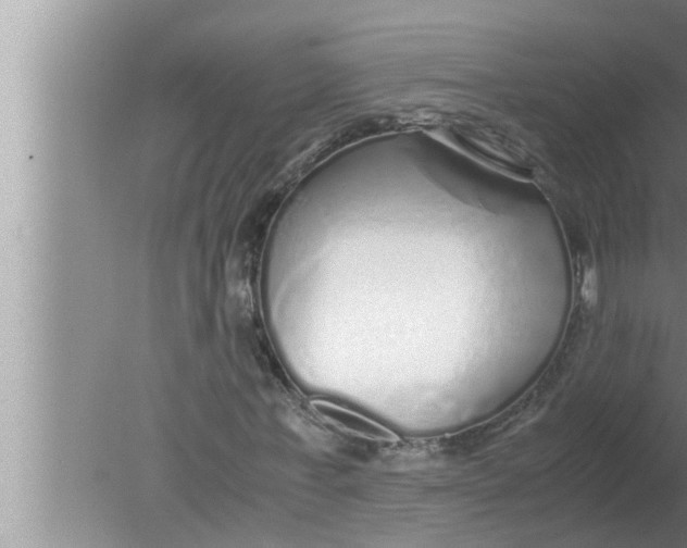 X0000080160771200612302152