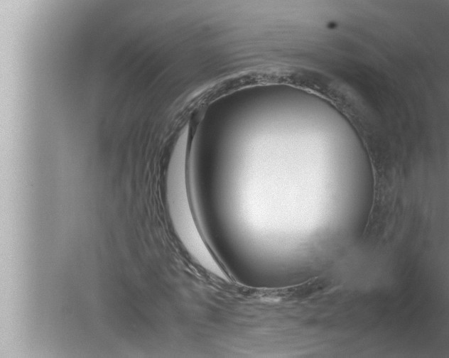 X0000080160773200612302152