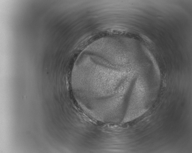 X0000080160774200612302152