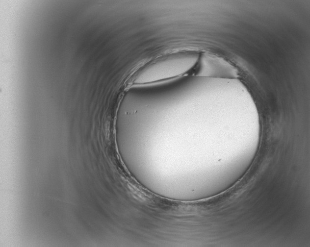 X0000080160777200612302152