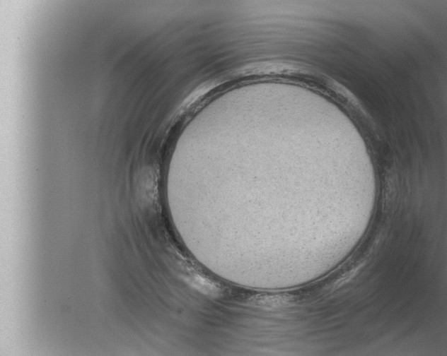 X0000080160778200612302152