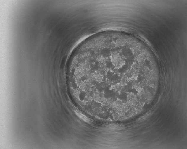 X0000080160779200612302152