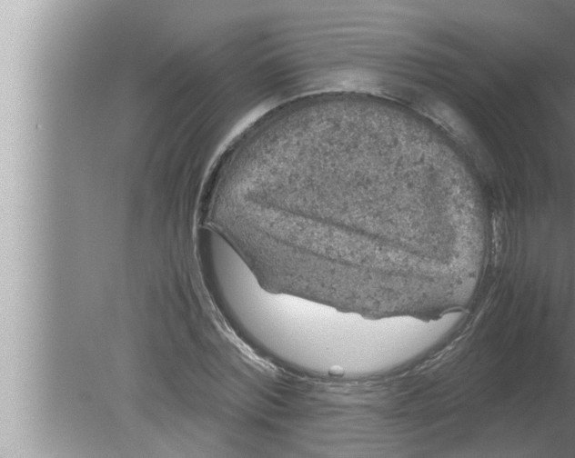 X0000080160780200612302152