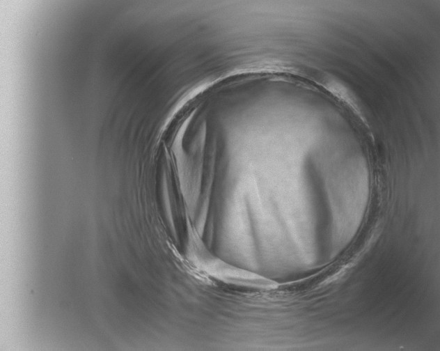 X0000080160781200612302152