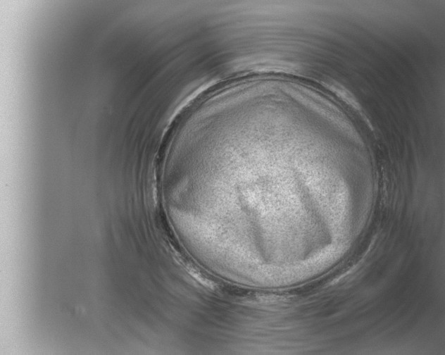 X0000080160782200612302152