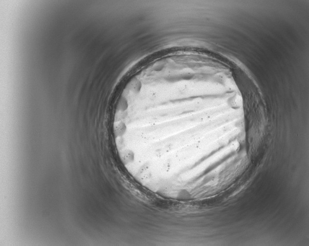 X0000080160783200612302152