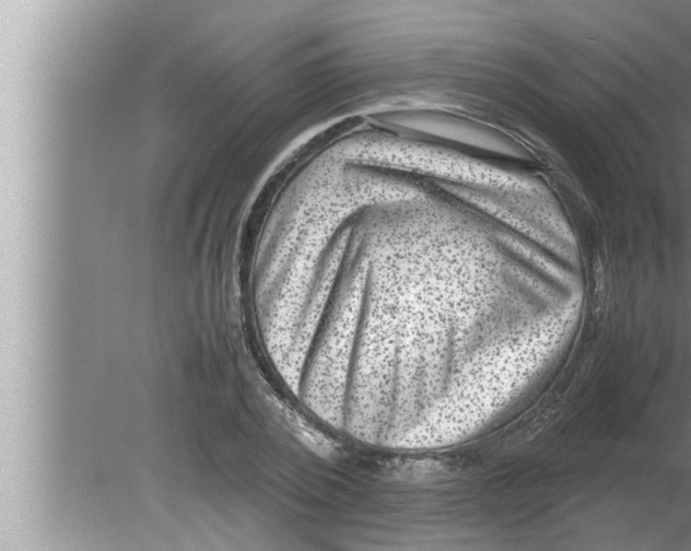 X0000080160784200612302152