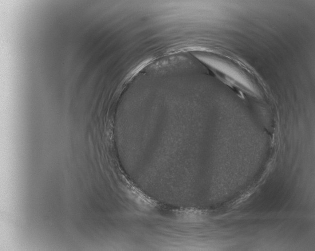 X0000080160785200612302152