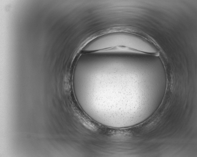 X0000080160786200612302152