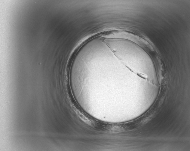 X0000080160787200612302152