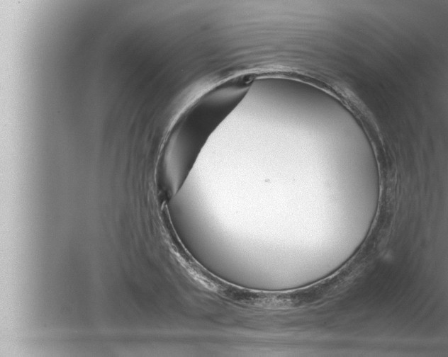 X0000080160789200612302152