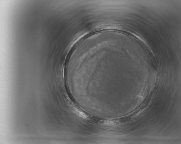 X0000080160790200612302152