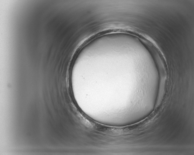 X0000080160791200612302152