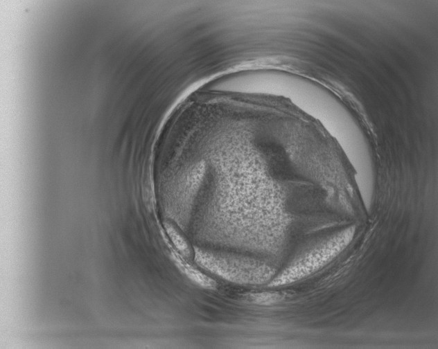 X0000080160792200612302152