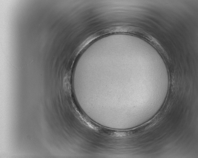 X0000080160794200612302152