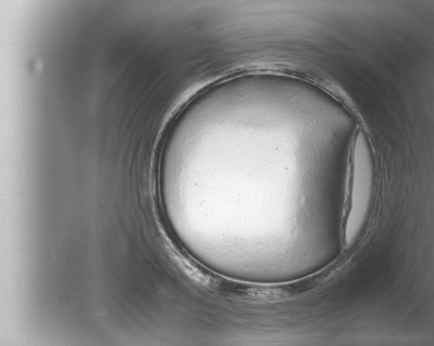 X0000080160795200612302152