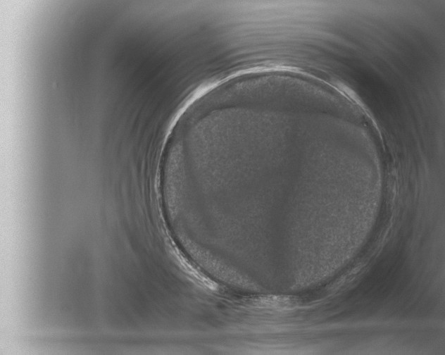 X0000080160797200612302152