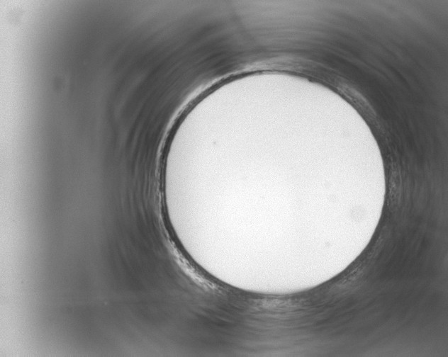 X0000080160800200612302152