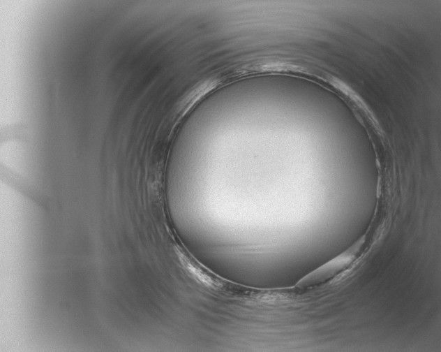 X0000080160801200612302152