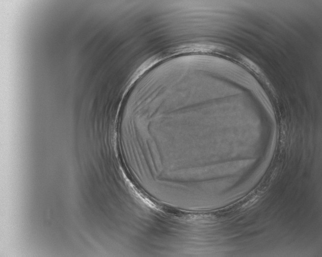 X0000080160802200612302152