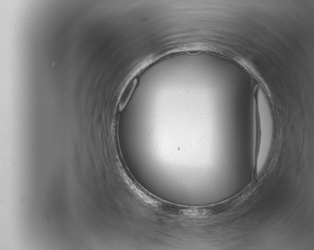 X0000080160805200612302152