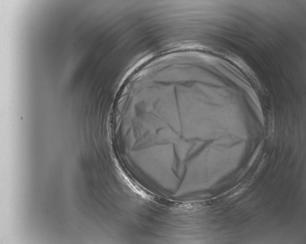 X0000080160806200612302152