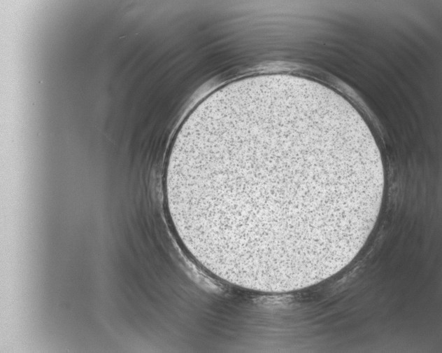 X0000080160810200612302152