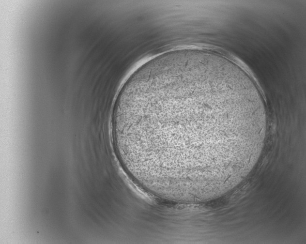 X0000080160811200612302152