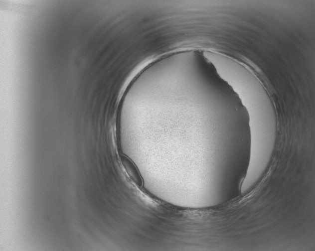 X0000080160812200612302152