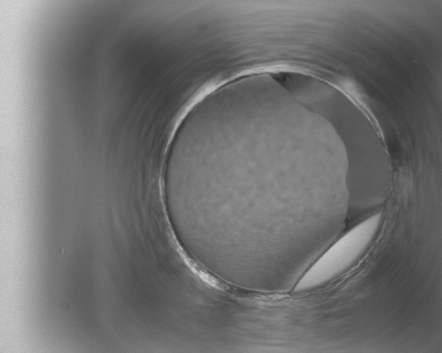 X0000080160813200612302152