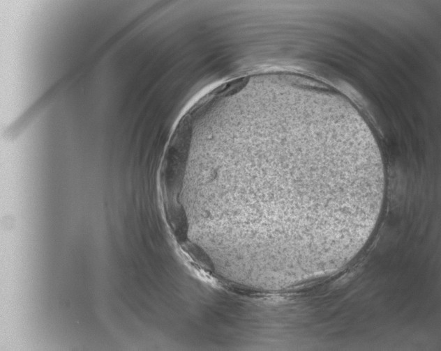 X0000080160814200612302152