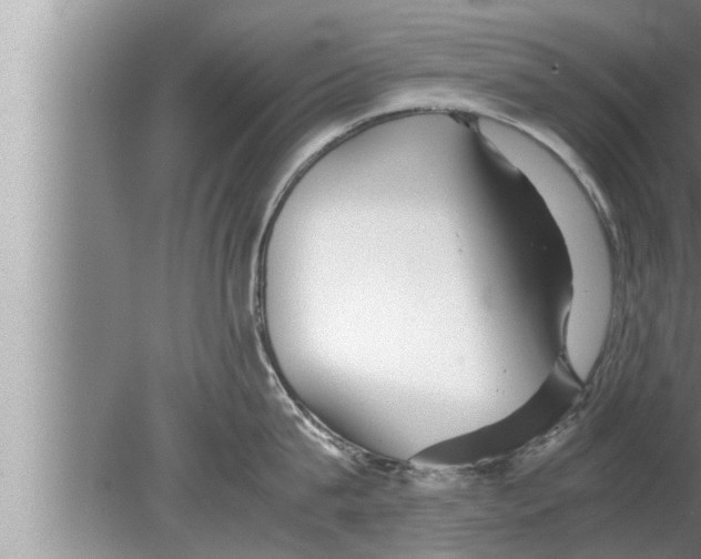 X0000080160815200612302152